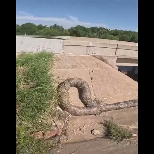 This is where he crashed!