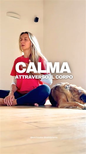 SATI Dynamic by Evi Choutou | Movement & Awareness on Instagram: "Quando usi pratiche somatiche come il tapping o il humming, stai lavorando direttamente con il tuo sistema nervoso. Questi movimenti attivano il nervo vago, la parte del corpo che ti aiuta a uscire dall’ansia e tornare alla regolazione. Per alcune persone è subito radicante. Per altre, può portare in superficie più energia all’inizio — ed è normale. È il corpo che sta imparando di nuovo la sicurezza. Vai piano. Ascolta. Lascia che