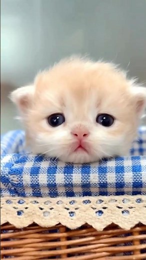 Aww so cute 🥰 💖