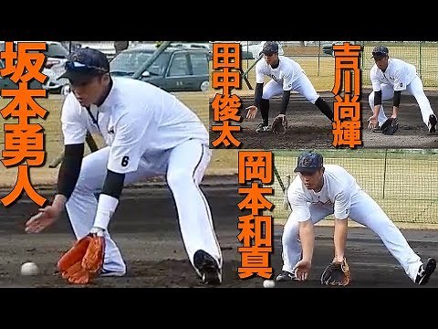 必見！至近距離で見る内野守備練習 坂本勇人 岡本 吉川 ルーキー田中 2018 巨人 宮崎春季キャンプ