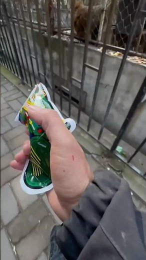 Anyone know what the name of this song is??? I can’t find it