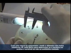 Antibiograma Multidiscos