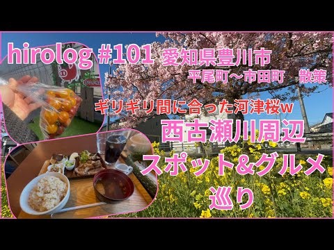 hirolog#101 Toyokawa City, Aichi Prefecture, just before the end of the season!? A stroll around ...