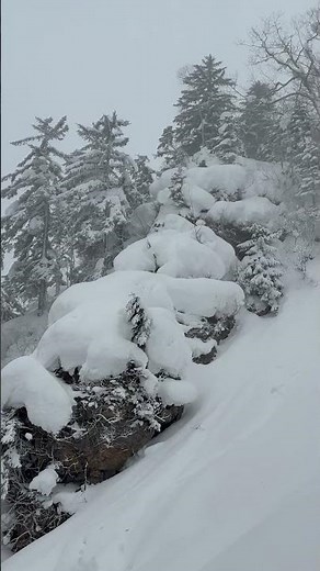 Skier vs Pillow Stack || ViralHog