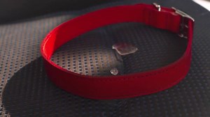 39K views · 529 reactions | Did you know that more than one in 10...