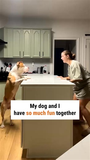 A game that never gets old | Argo Pets