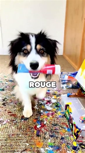 Le premier artiste canin au monde 😯❤️