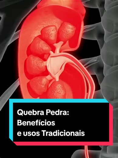 Quebra Pedra: Benefícios e Usos Tradicionais para a Saúde