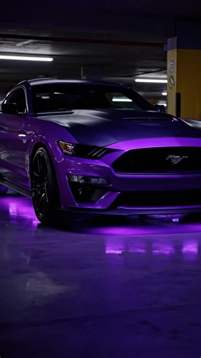 Celebrating Mustang Culture: The Mustang Girl Phenomenon