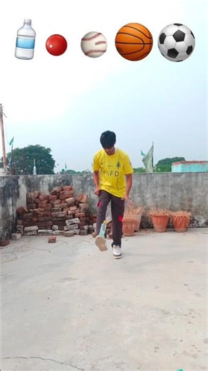 Juggling random stuff like a pro 😎🔥 Can you beat this challenge?” #petshub #shorts