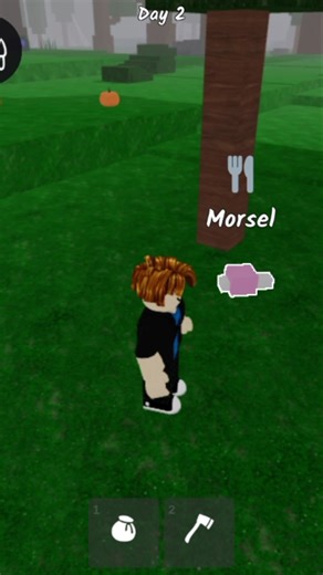 Eating morsel chicken🍗99 nights in the forest |#roblox#99nightintheforest