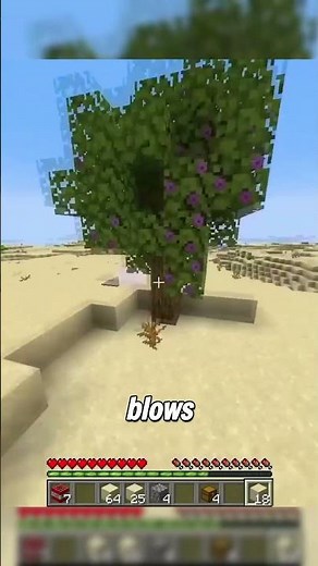 First Ever TAS Speedrun in Minecraft!