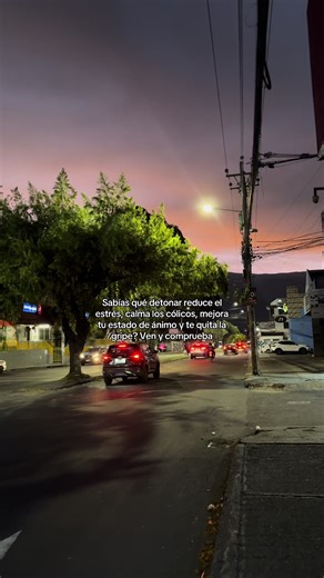 Detonar: El alivio perfecto para el estrés y cólicos