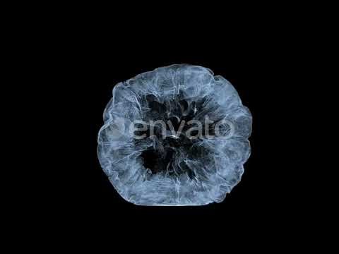 Powder Smoke Drop Stock Footage