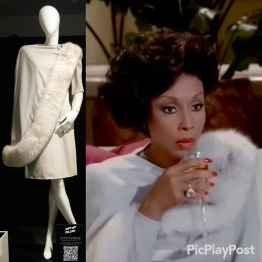 Nolan Miller Collector on Reels