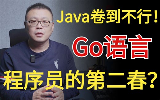 都2023年了，能不能别再吹Java了！清华大佬通过算法基础带你体验Go语言的魅力！Golang与Java比到底怎么样！？