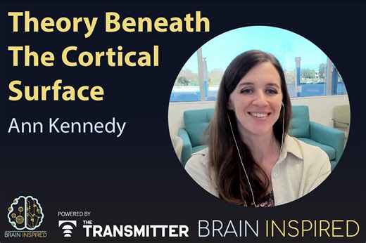 Ann Kennedy explains the theoretical neuroscience of survival behaviors