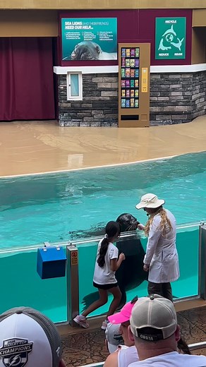 5.3K views · 141 reactions | Clyde can “say cheese” too, in fact he is good at it! #roar #sealionroar #saycheese #closeup #fun | Travisandcousins | Facebook