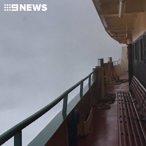 12K views · 123 reactions | #WATCH: Sydney's iconic Manly Ferry has...