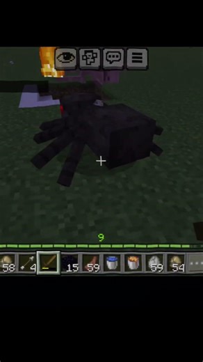 Bro, the mobs are fighting each other.