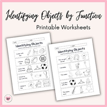 Identifying Objects by Function Worksheets