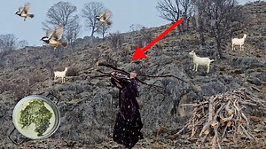 1.2M views · 21K reactions | A Rainy Mountain Day ️⛰️ Gathering firewood 蝹 and cooking traditional yellow shale 𥉉 in the heart of nature | CiscoKid & Kenna | Facebook