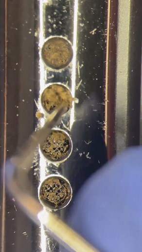 21K views · 624 reactions | #satisfying dirty phone microphone #cleaning | Phone Fix Craft | Facebook