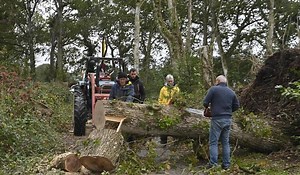 Tempête Ciaran : quelque 1,2 million de foyers sans électricité en France, 780 000 en Bretagne
