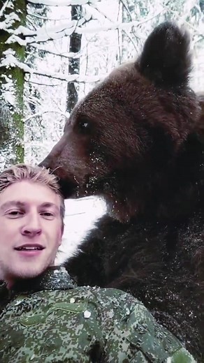 Las Mascotas Más Inusuales de Rusia: Osos y Aventuras