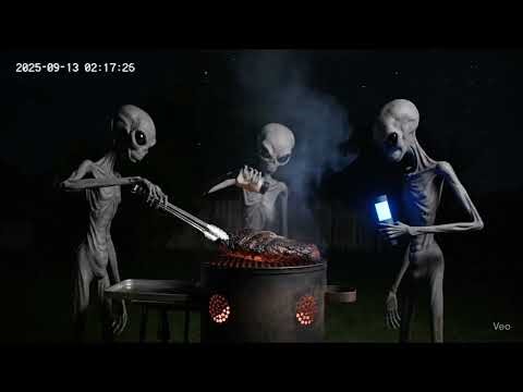 CCTV Captures 3 Aliens Smoking a Brisket at Midnight 👽🔥