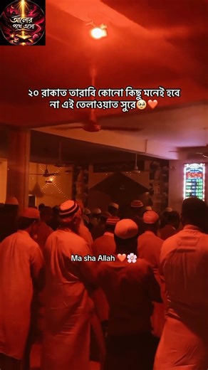 পৃথিবীর শ্রেষ্ঠ তেলওয়াত -শুনলে মনটা ভরে যায়#foryou #viralshorts #youtube