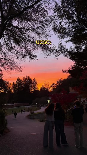 Why I Love UCSC: Aesthetic College Experience