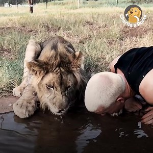 Ce garçon a tout abandonné pour vivre avec des animaux sauvages 🥰 | Petinou