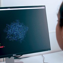 Video: Deciphering the Structural Effects of Activating EGFR Somatic Mutations with Molecular Dynamics Simulation