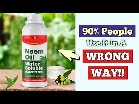 How to Use Neem Oil To Treat Pests on Plants (90% People Don't Know!)