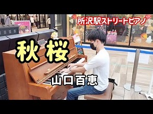 【所沢駅ストリートピアノ】秋桜/山口百恵