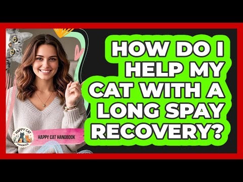 How Do I Help My Cat With A Long Spay Recovery? - Happy Cat Handbook