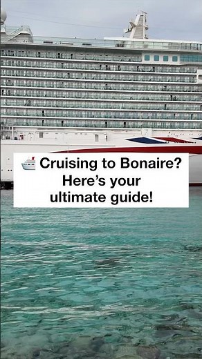 🚢 Cruising to Bonaire? Here’s Your Ultimate Guide! 🏝️✨