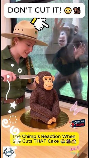 The Chimp’s Reaction When She Cuts THAT Cake 😂🐒🍰 #ChimpReacts #FunnyAnimals #shorts
