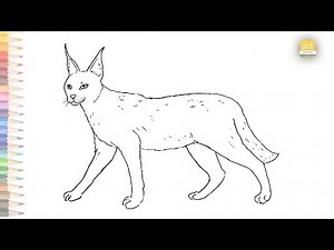 Caracal drawing easy | How to draw animal Caracal outline sketch easy way