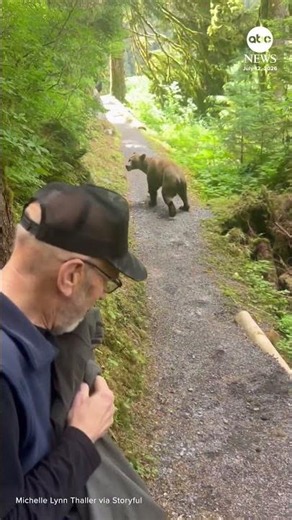 Hikers stay calm during close encounter with grizzly bear in Alaska