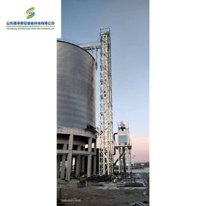 [Hot Item] Agriculture Food Bucket Elevator Grain Loading Vertical Belts Bucket Elevator Factory