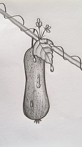 How to draw Cucumber by pencil #Art #PencilSketch #HowToDraw #Drawing #Vegetables #Cucumber | Tahmina Art Gallery