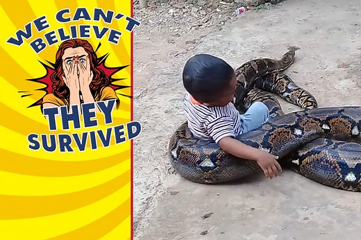 Toddler cheats death by cuddling up to a gigantic python