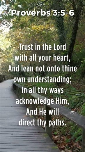 Proverbs 3:5-6 - Dr Adrian Rogers