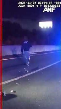 Video shows arrest of driver who allegedly slammed into Gwinnett officer’s car