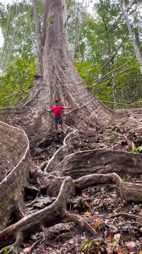 197K views · 3.5K reactions | Featuring: Dingle Iloilo Location:...