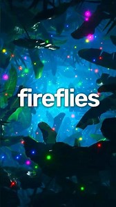 This is the PERFECT fireflies remix ✨🩵 #fireflies #owlcity #remix #edm