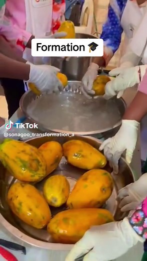 Formation en Transformation des Fruits et Légumes
