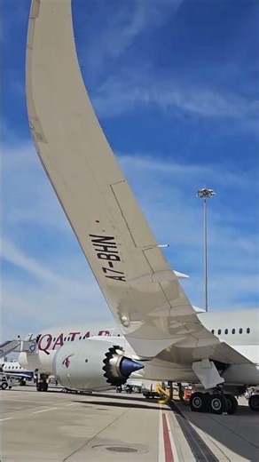 Qatar Airways Boeing 787-9 Dreamliner Wing Flex | Carbon Fiber in Action